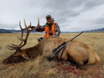 Montana Rifle Elk with Walker Outfitting